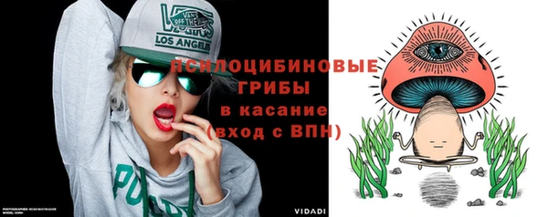 соль ск Заволжье