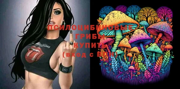 соль ск Заволжье