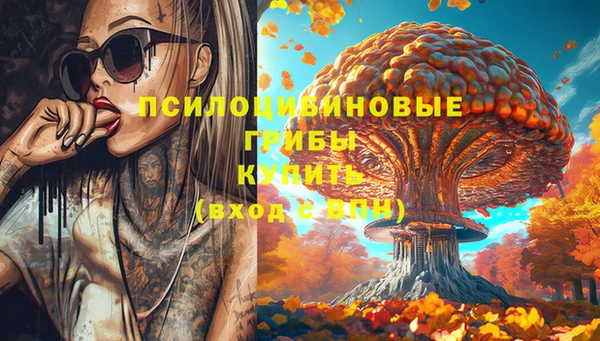 соль ск Заволжье