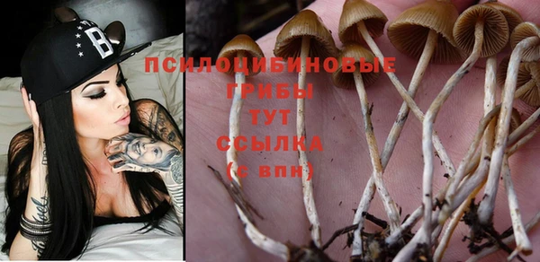 мяу мяу кристалл Заводоуковск