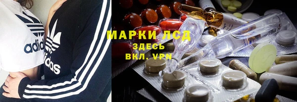 сатива Чекалин
