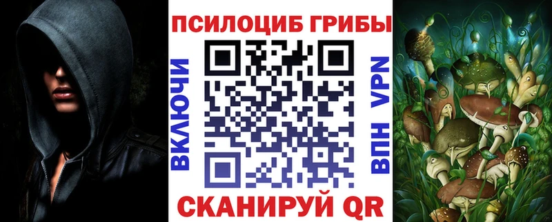 Псилоцибиновые грибы ЛСД  Купить закладки  Медынь 
